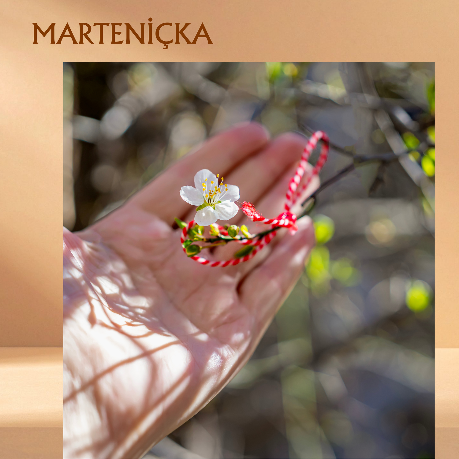 Charm Marteniçka